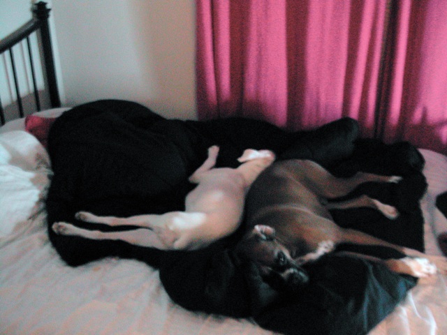 still passed out after playtime