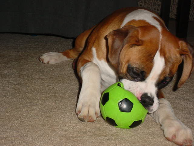 Still playing w/ the ball