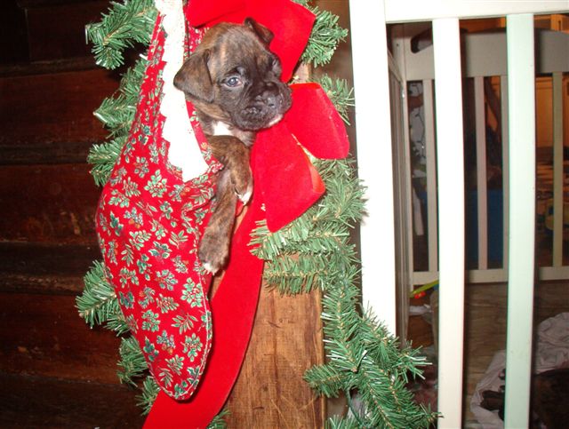 Stocking Stuffer!