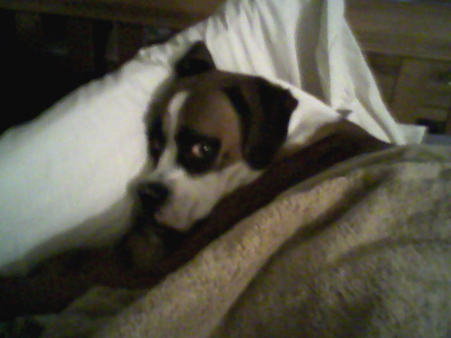 Stole my spot