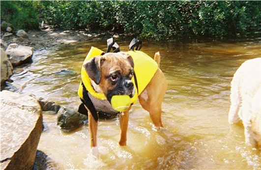 Stolen ball