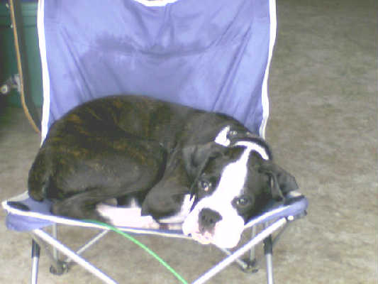 Stolen chair