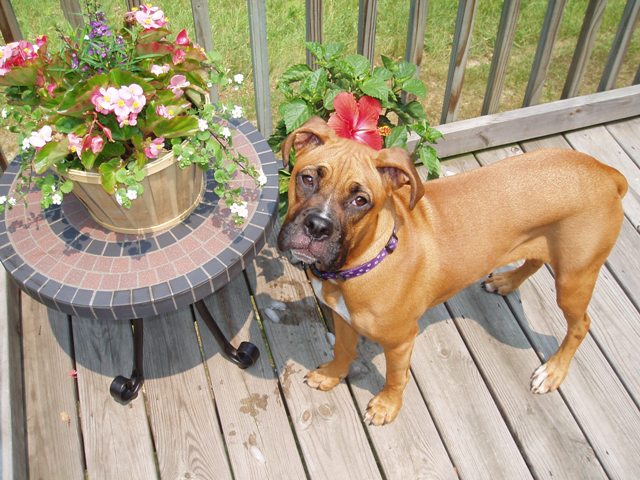 Stop and smell the flowers