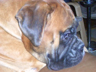 "stop lookin' at me"