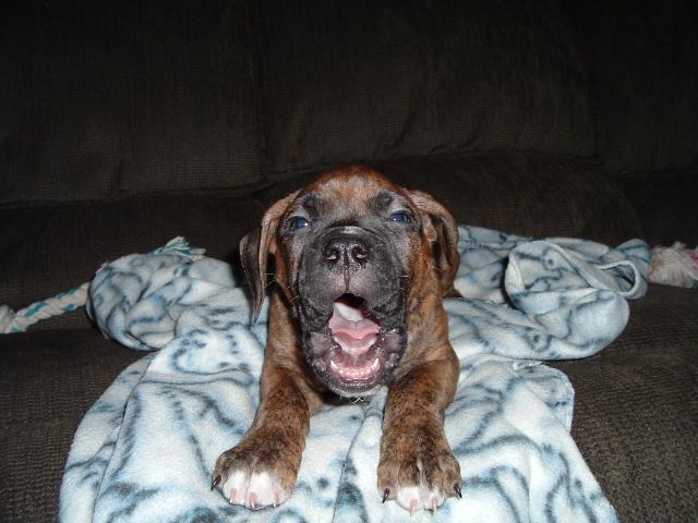 Stop taking my picture