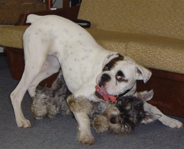 Storm & Cooper