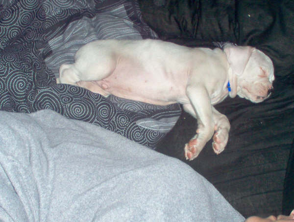 Storm Sleeping