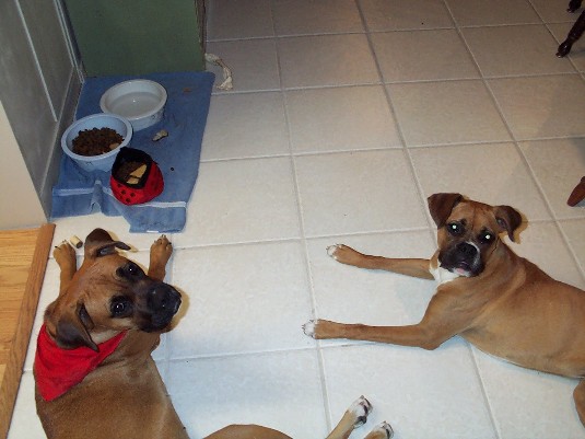 Stormie and Cuz Nina (in red)