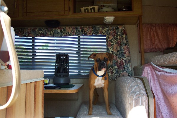 Stormie in our camper