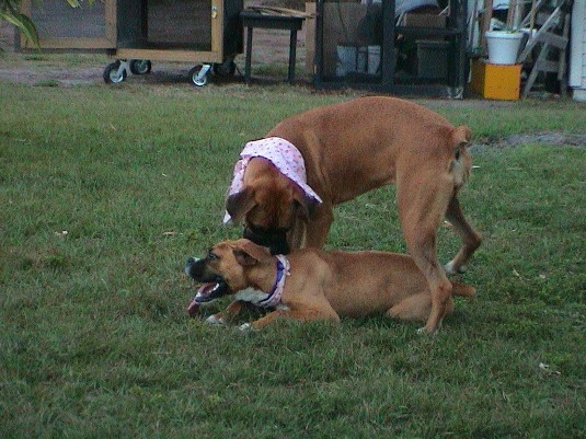 Stormie playing with Cousin Nina