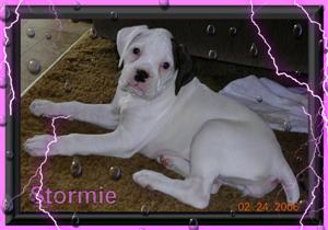 Stormie