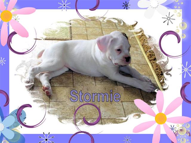 Stormie