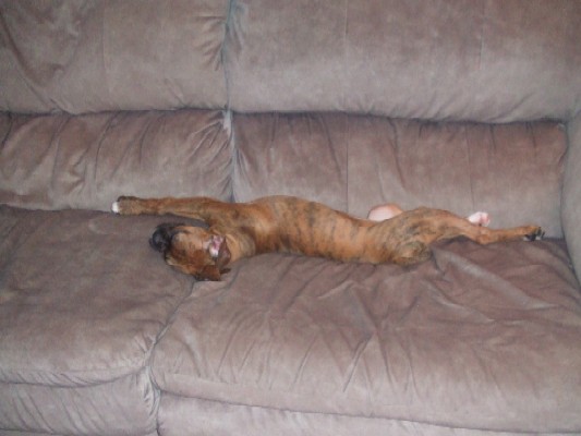 Stretch!!!!! 13.5 weeks old