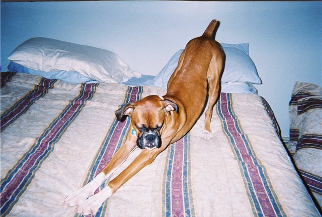 Stretch....
