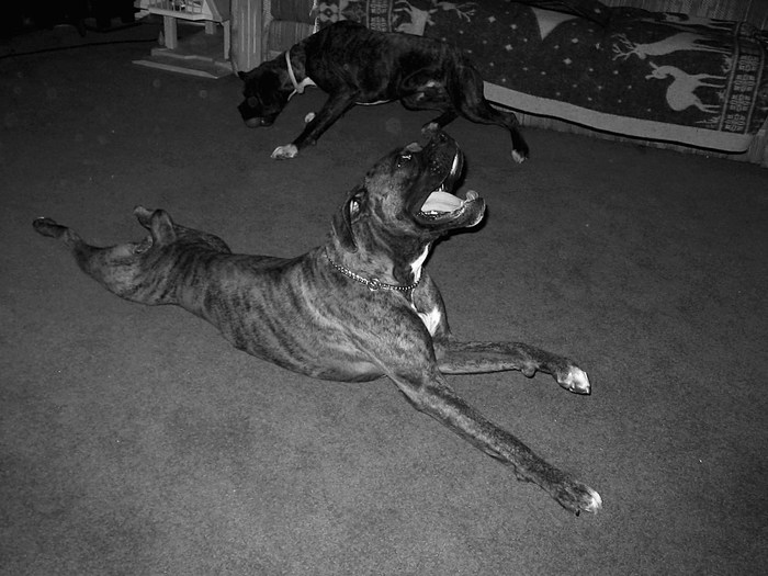 stretch