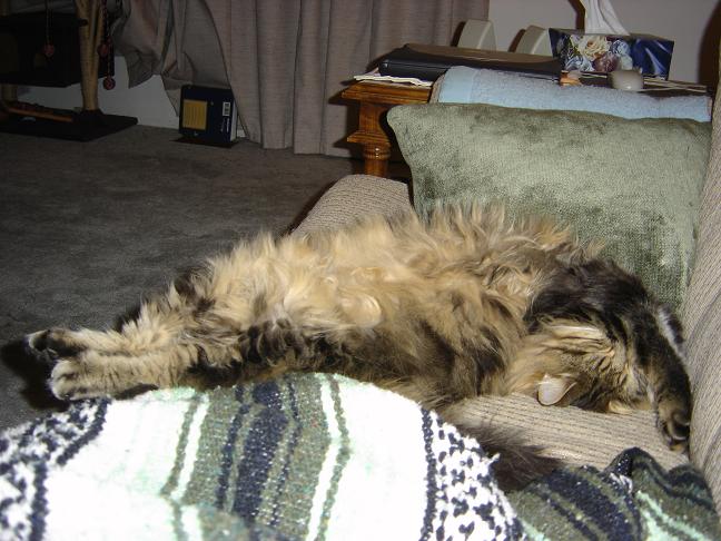 Stretch!!
