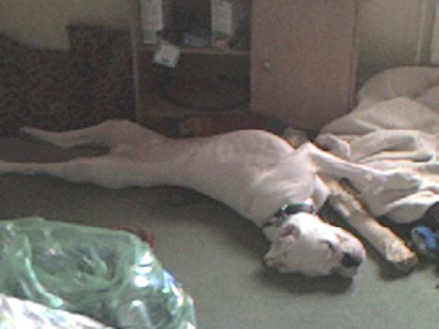 Stretched out!