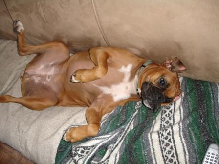 stretching out