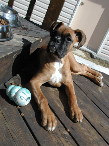 Strike a pose! (16wks)