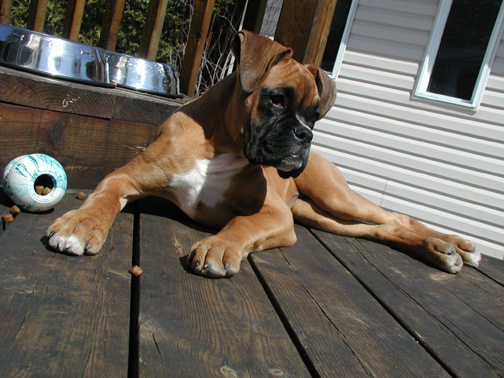 Strike a pose!