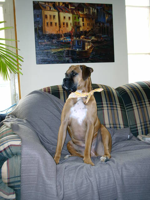 Strike a pose