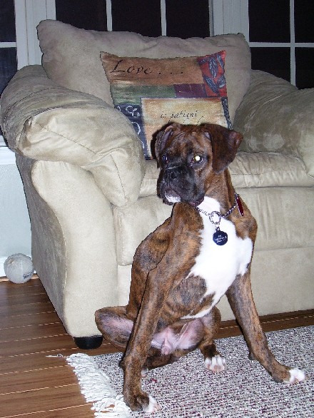 Strike a pose