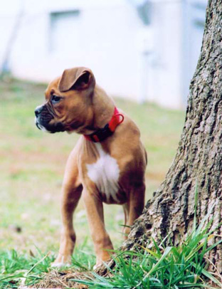 Striking a pose