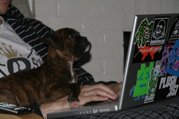 Studious Sophie