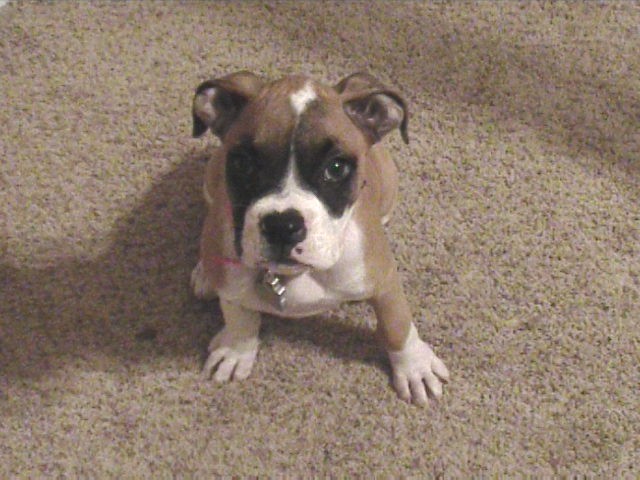 Such a beautiful little girl!