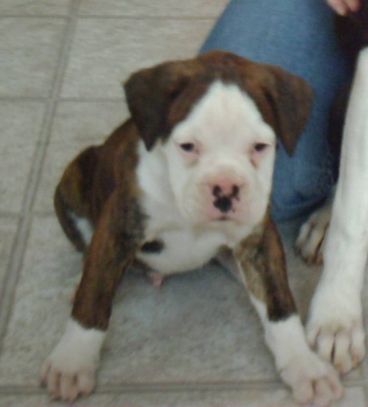 Such a cute little boy