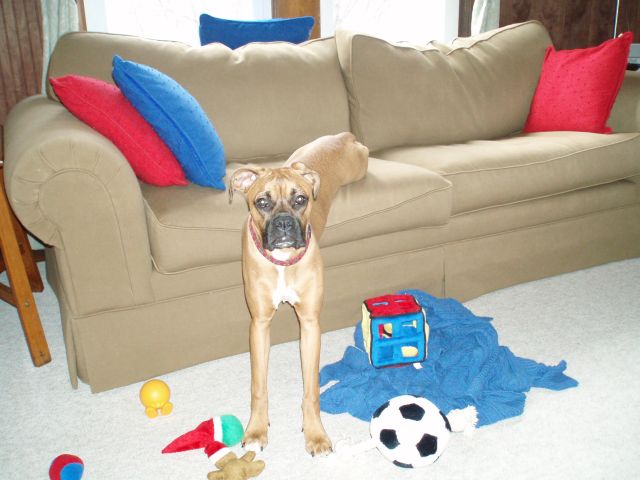 such a goof!!!