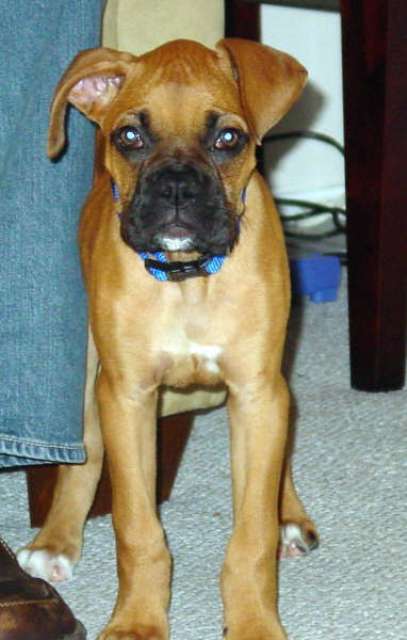 Such a Handsome Boy!