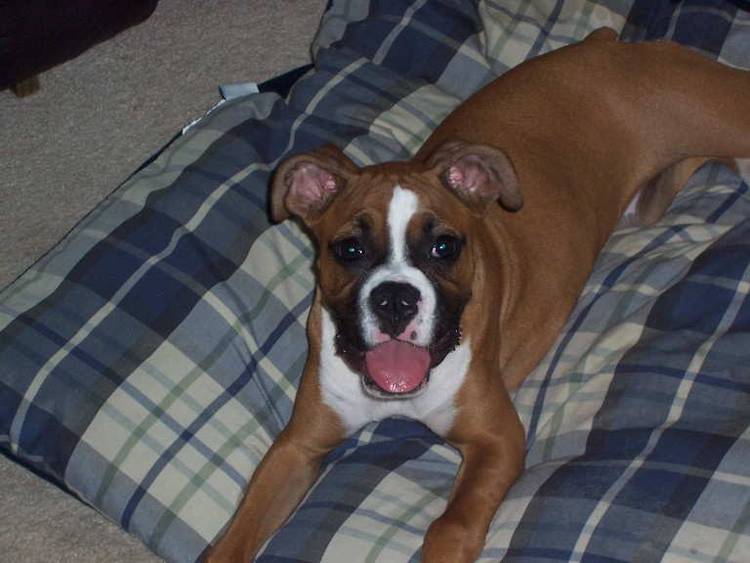 Such a happy girl...