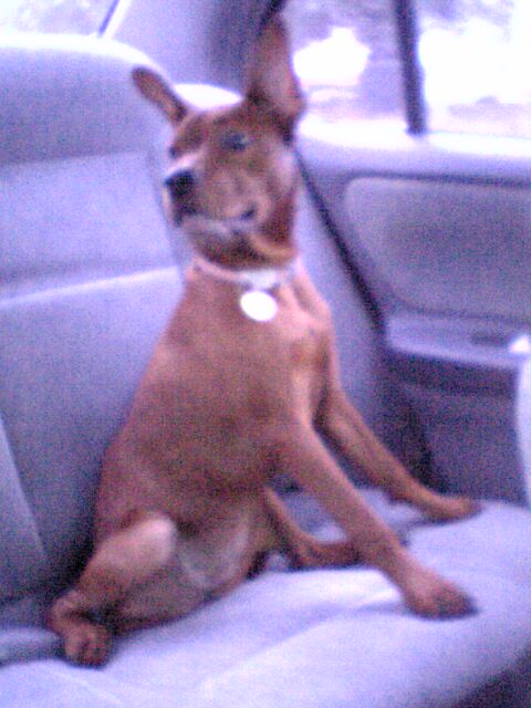 Such a lady! haha