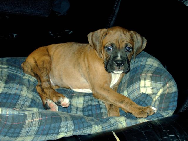 such a young man already (6 1/2 wks)