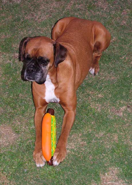 Sugar on her 10th Birthday