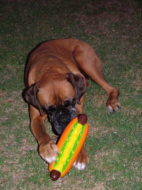 Sugar on her 10th Birthday