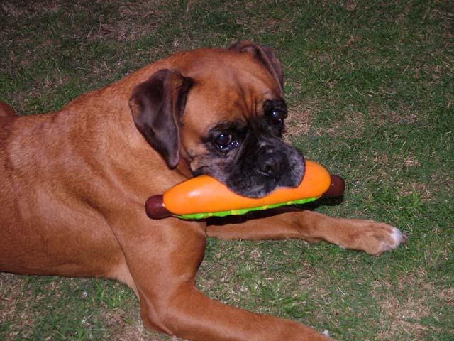 Sugar turns 10 today