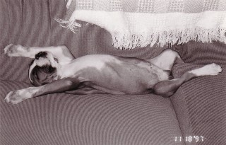 Sugarbear, Life of Riley