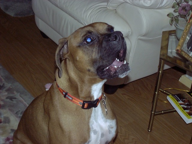 SugarRay