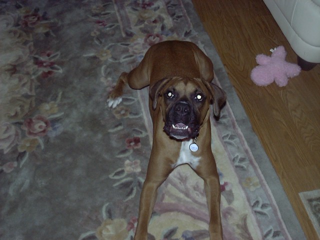 SugarRay