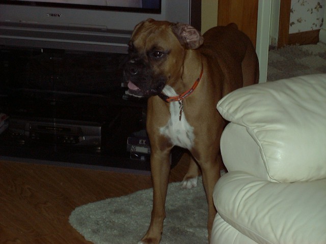 SugarRay