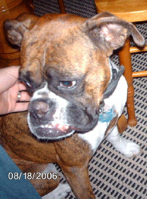 sugga aka egor !