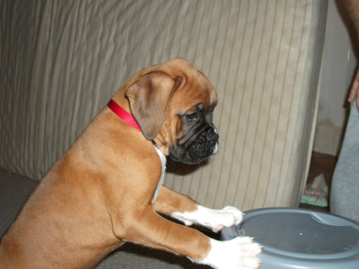 suggs_bucket_2