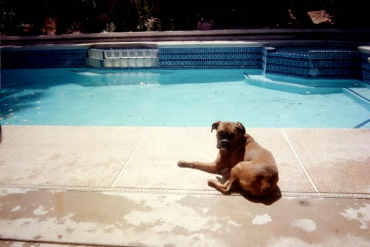 Sun Bather