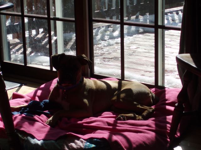 Sun bathing luna