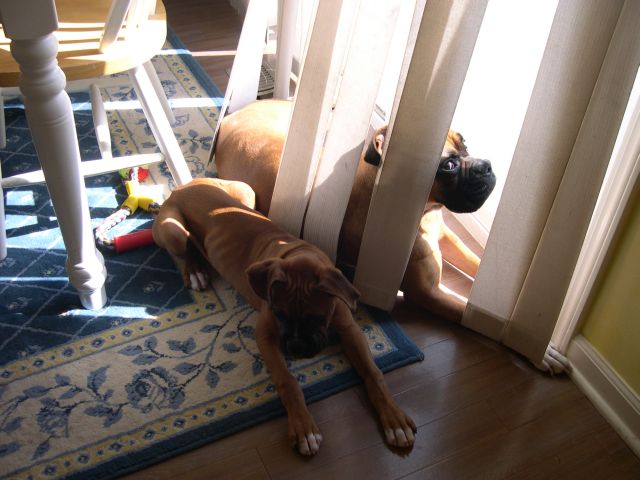 Sun bathing