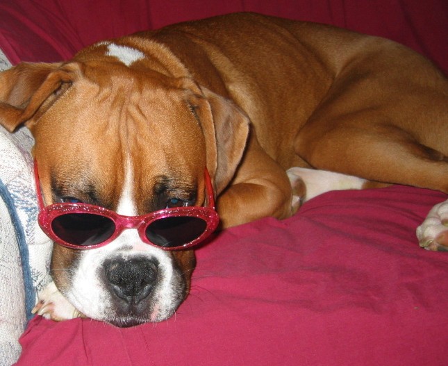 Sun glasses