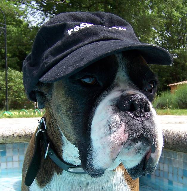 Sun protection