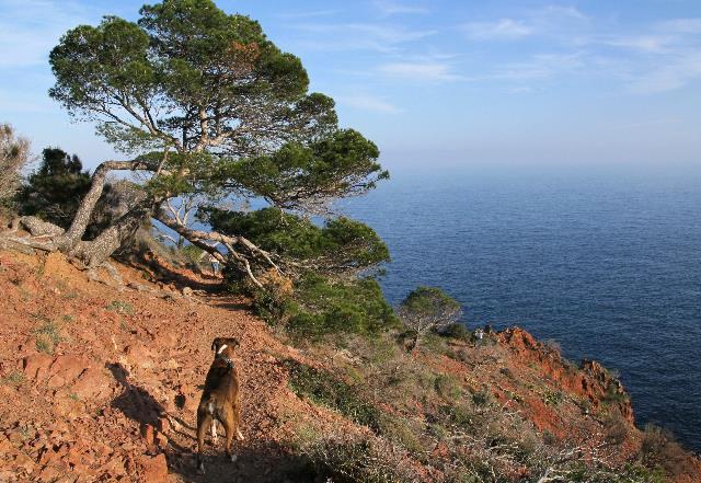 Sun, sea, Henri